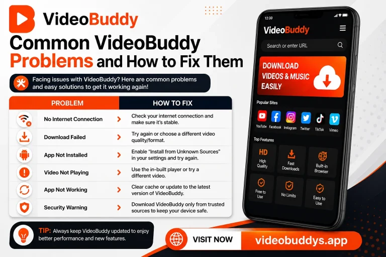 Common VideoBuddy Problems and How to Fix Them